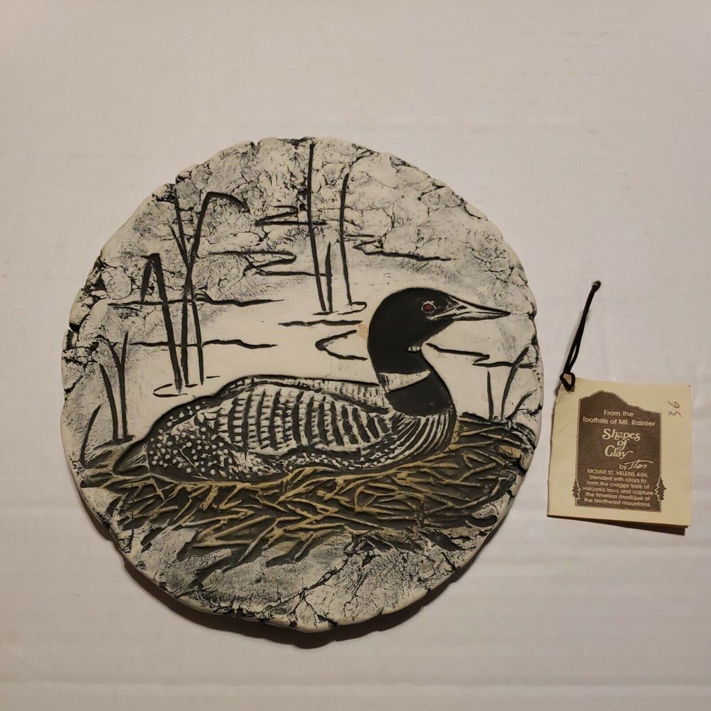 Shapes of Clay PLAQUE Waterfowl Loon Duck, Mt St Helens Ash, NOS